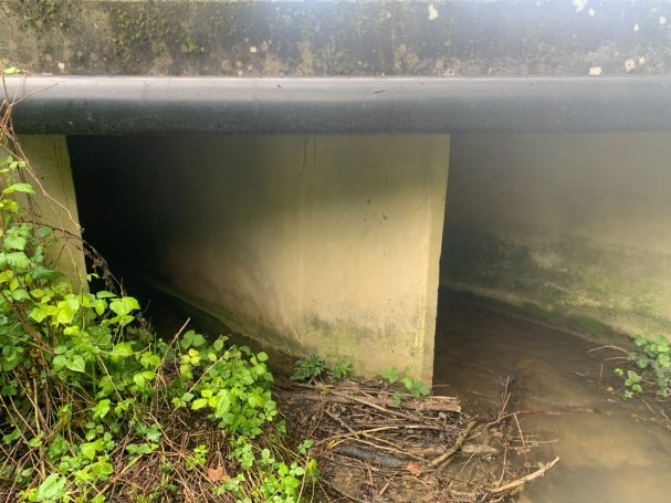 Expertise écologique d'un ouvrage cadre