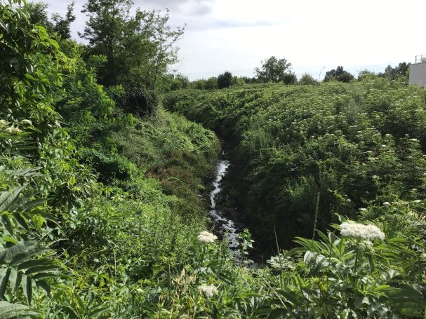 Expertise écologique du Riou gras
